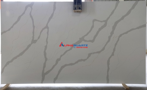 NQ9001 Calacatta Gold