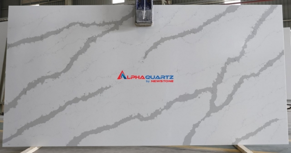 NQ9013 Vatino Classic