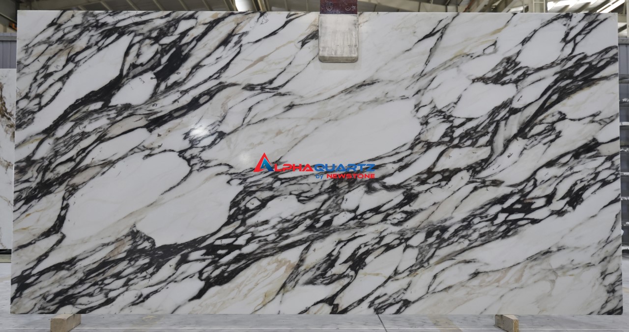 NP2019 Calacatta Monet