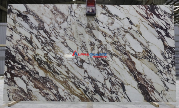 NP2002 Calacatta Viola