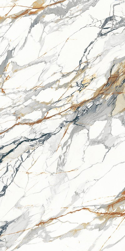 New products - New Market - New Challenge